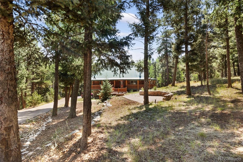 734 Kutsu Ridge Rd, Florissant, CO 80816