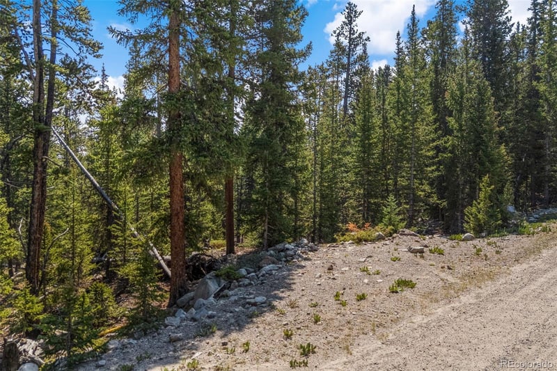 914 Bobcat Ln Lot 0431, Fairplay, CO 80440