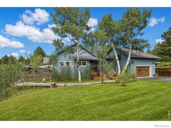338 County Road 84 W, Allenspark, CO 80510