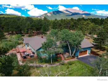 338 County Road 84 W, Allenspark, CO 80510