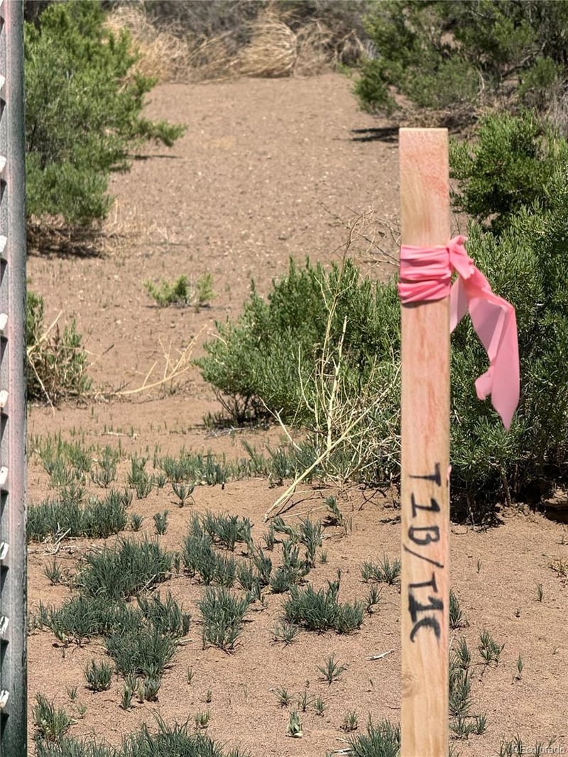 1 Lane 2 , Mosca, CO 81146