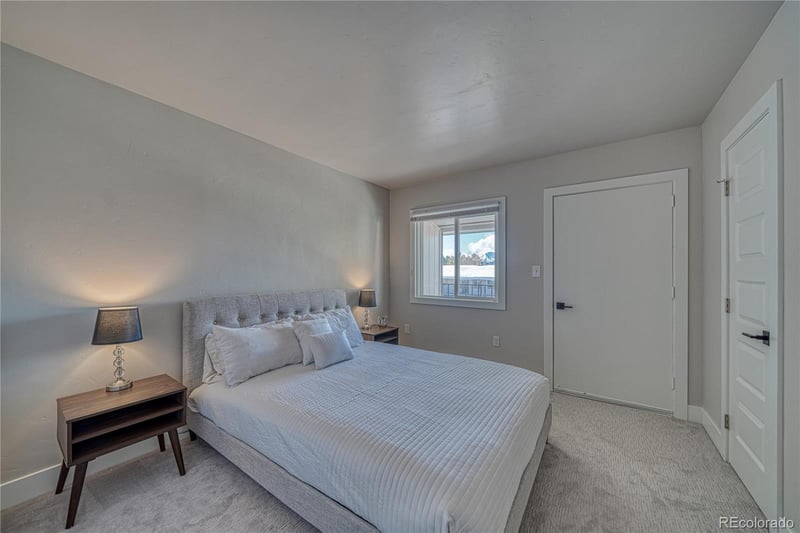 921 Mt Massive Dr #18, Leadville, CO 80461