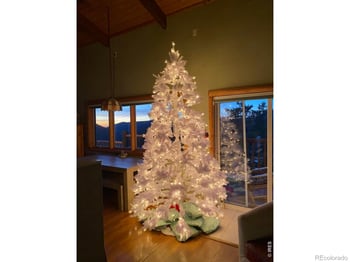 301 Pine Tree Dr, Estes Park, CO 80517