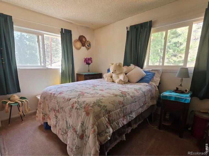135 Brookside Dr, Bailey, CO 80421