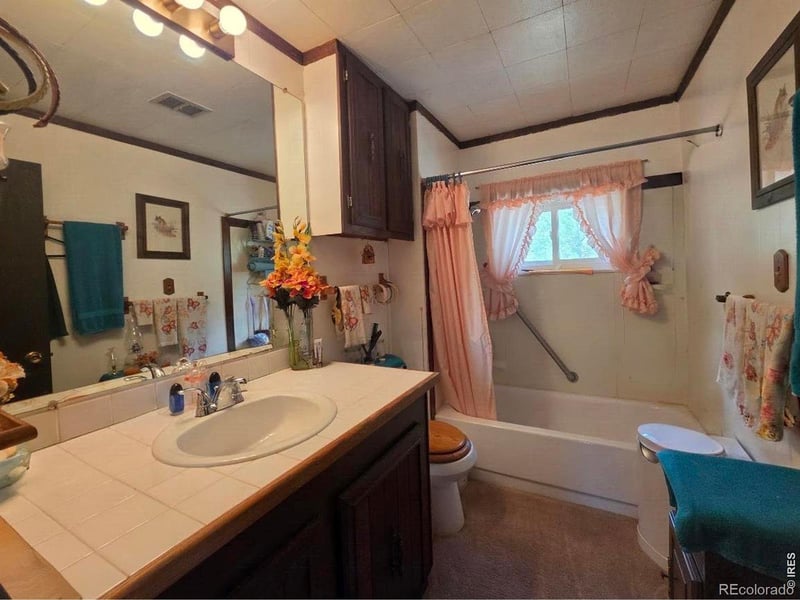 135 Brookside Dr, Bailey, CO 80421