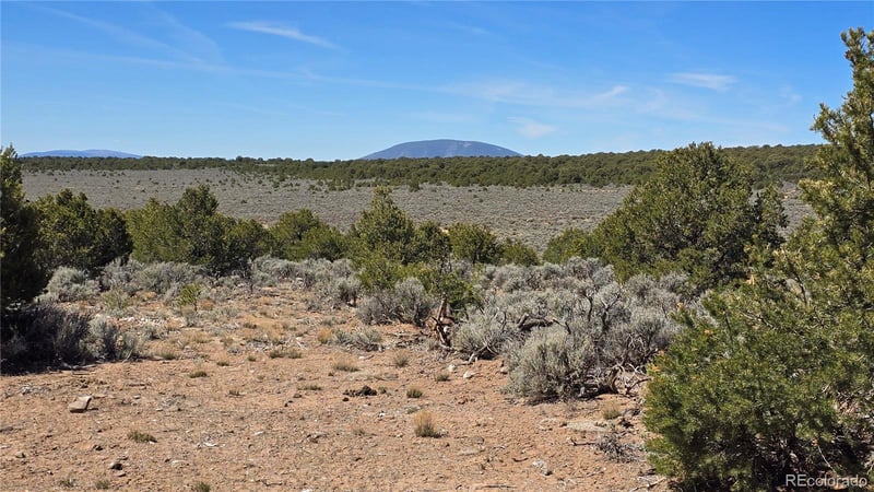 2738 Elk Park Rd, San Luis, CO 81152
