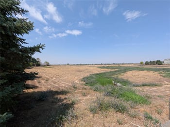 1611 Red Poppy Dr, Brighton, CO 80601