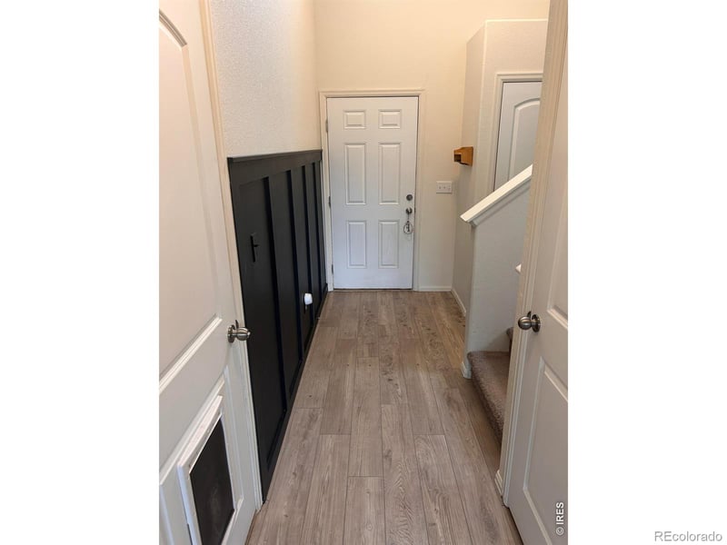 1827 Abundance Dr, Windsor, CO 80550