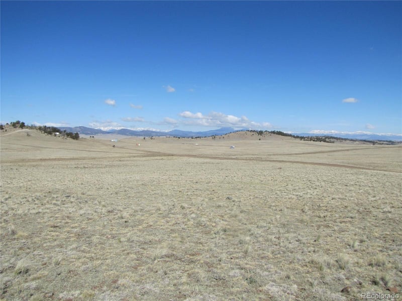 1454 Chicha Rd, Hartsel, CO 80449