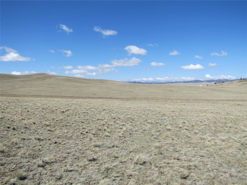1454 Chicha Rd, Hartsel, CO 80449