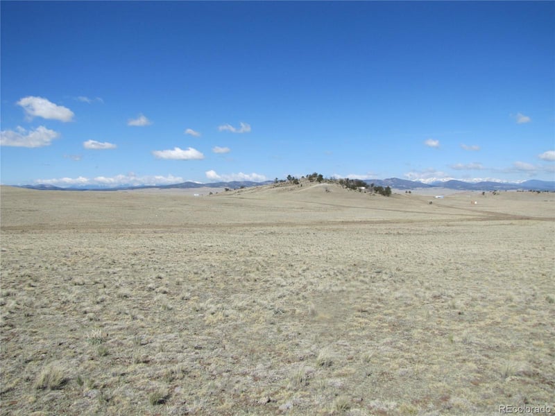 1454 Chicha Rd, Hartsel, CO 80449
