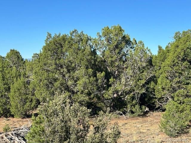 lot 12 City Ranch Property Lot 12, Walsenburg, CO 81089