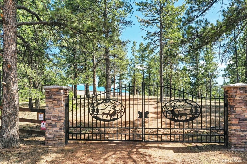 2754 County Rd 421, Florissant, CO 80816