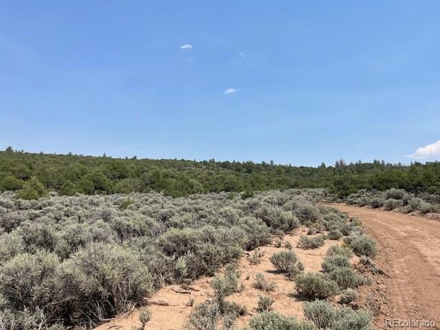 Lot 12 Bull Elk Trl, San Luis, CO 81152