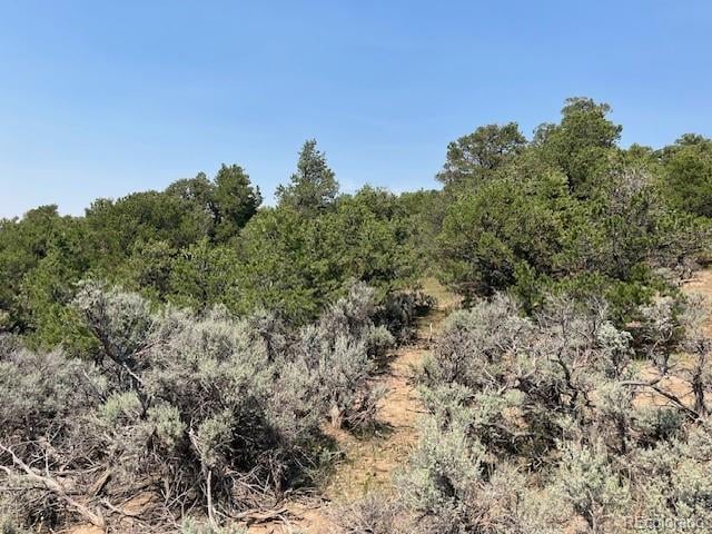 Lot 12 Bull Elk Trl, San Luis, CO 81152