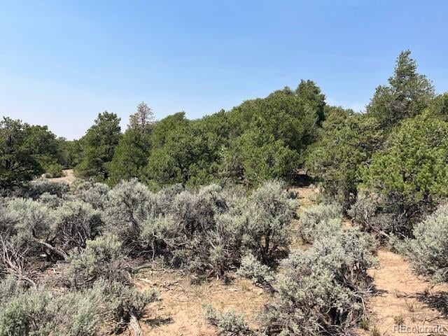 Lot 12 Bull Elk Trl, San Luis, CO 81152