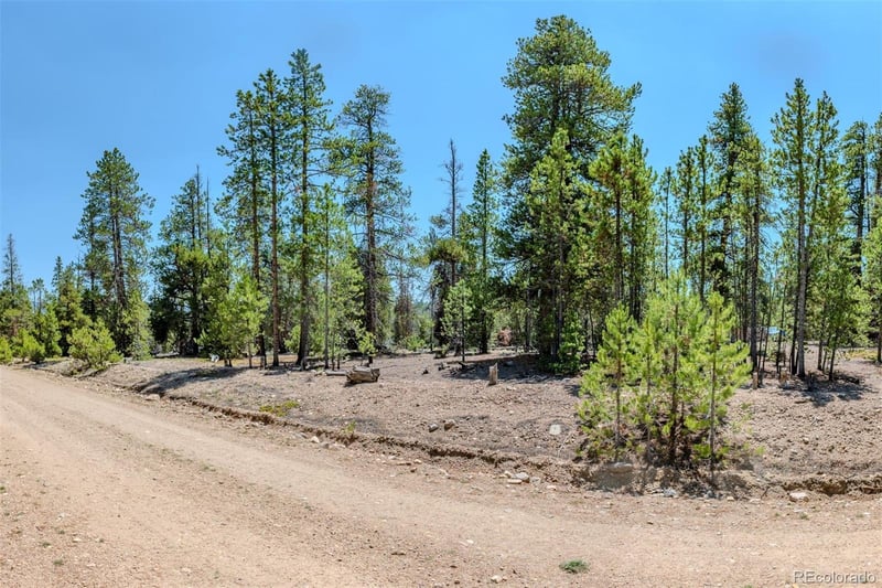 124 Fir Dr Lot 151 & 152, Twin Lakes, CO 81251