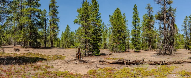124 Fir Dr Lot 151 & 152, Twin Lakes, CO 81251