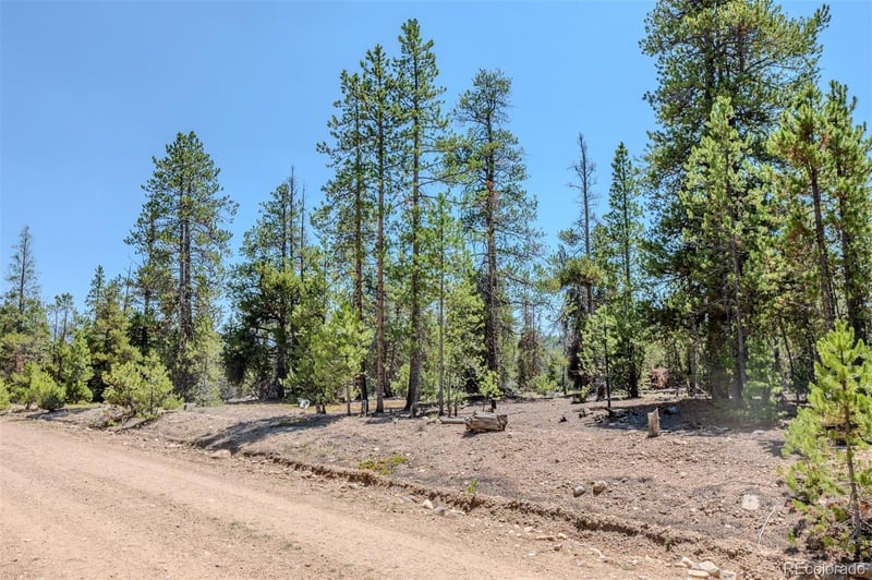 124 Fir Dr Lot 151 & 152, Twin Lakes, CO 81251