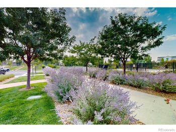 2866 Sand Beach Lake Dr, Loveland, CO 80538