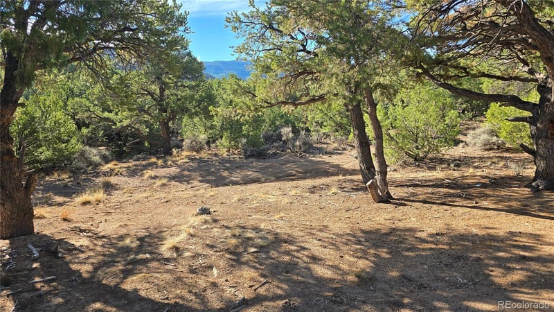 Lot 2232 Solaz Rd Lot 2232, Fort Garland, CO 81133