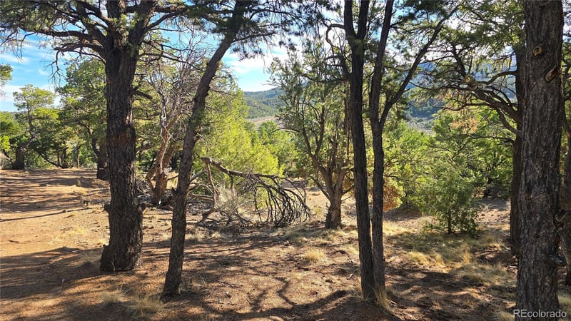 Lot 2232 Solaz Rd Lot 2232, Fort Garland, CO 81133