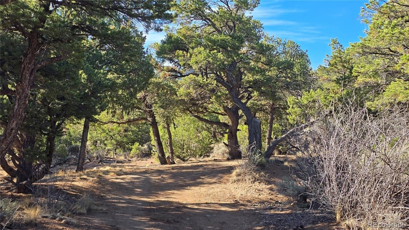 Lot 2232 Solaz Rd Lot 2232, Fort Garland, CO 81133