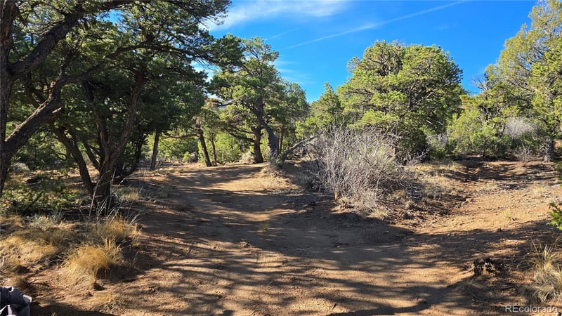 Lot 2232 Solaz Rd Lot 2232, Fort Garland, CO 81133