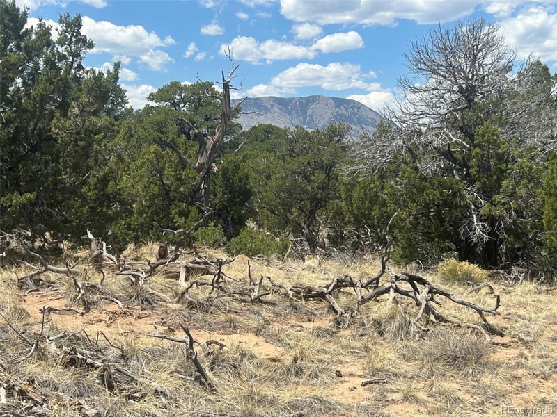 Cr 530 , Walsenburg, CO 81089