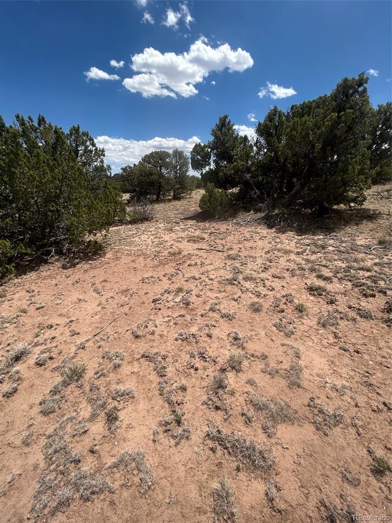 Cr 530 , Walsenburg, CO 81089
