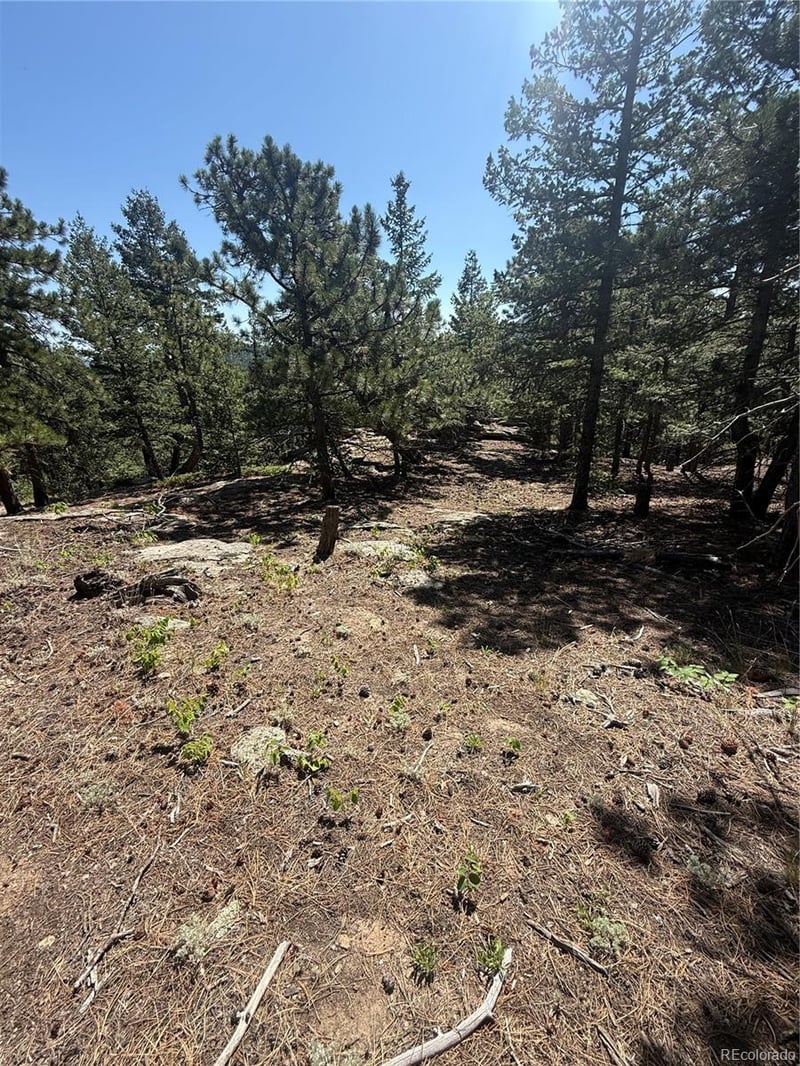11548 Overlook Dr, Golden, CO 80403