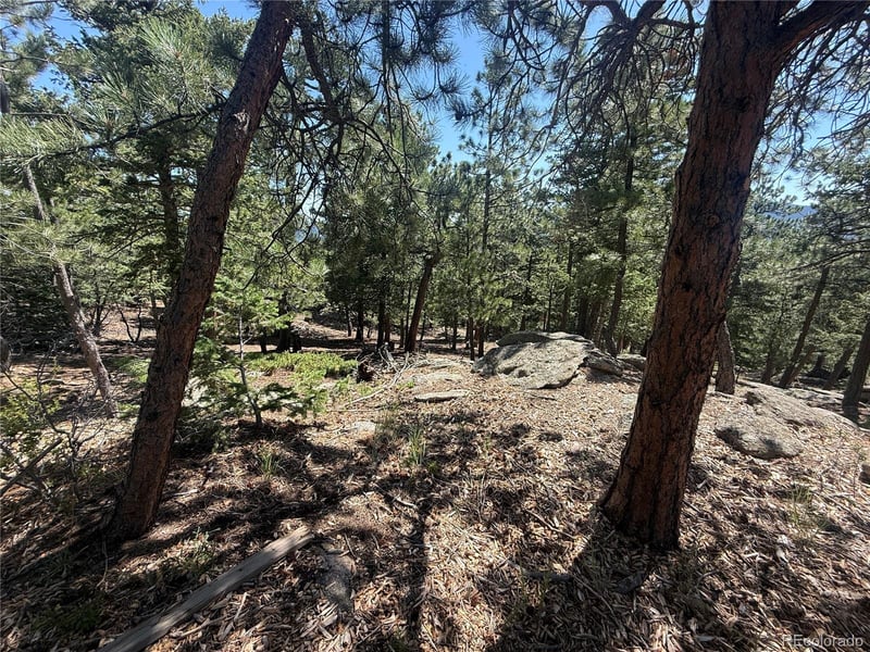 11548 Overlook Dr, Golden, CO 80403