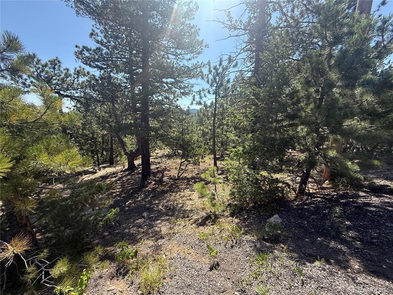 11548 Overlook Dr, Golden, CO 80403