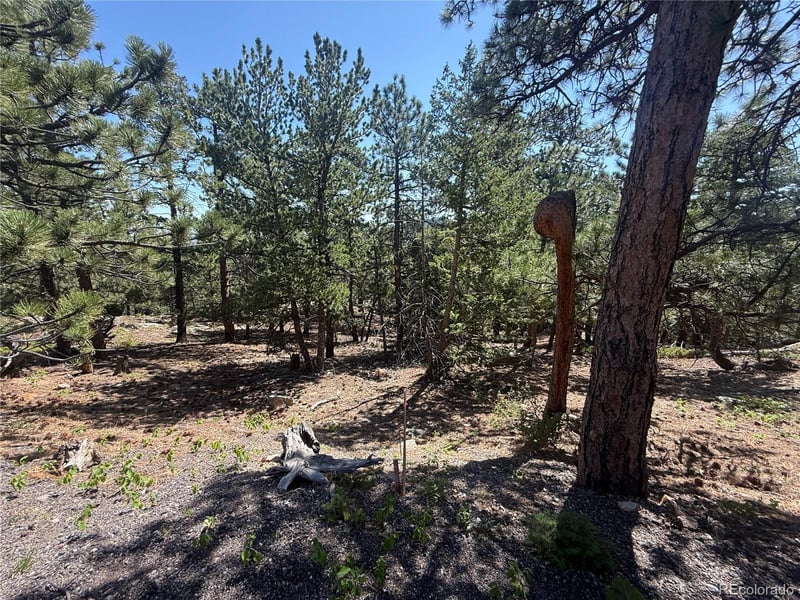 11548 Overlook Dr, Golden, CO 80403