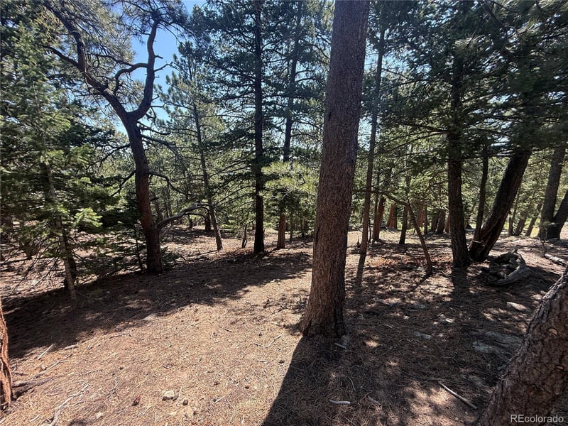 11548 Overlook Dr, Golden, CO 80403