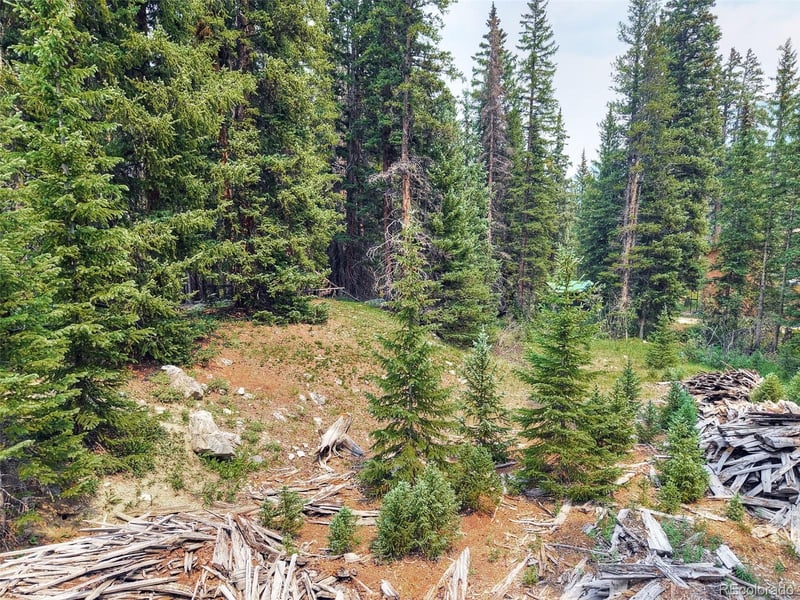 757 Cr 674 , Breckenridge, CO 80424
