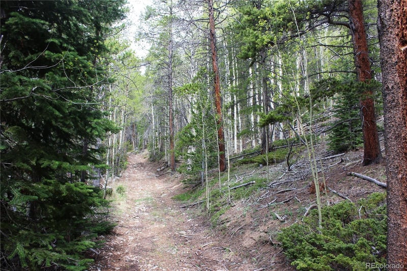 00 Broomfield Gulch Rd Lot 6050, Black Hawk, CO 80422
