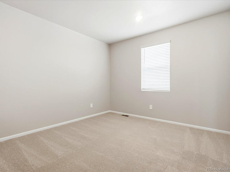 1660 Yampa River Dr, Windsor, CO 80550