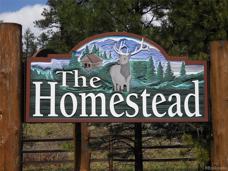 8216 Federation Dr Lot 12, Morrison, CO 80465