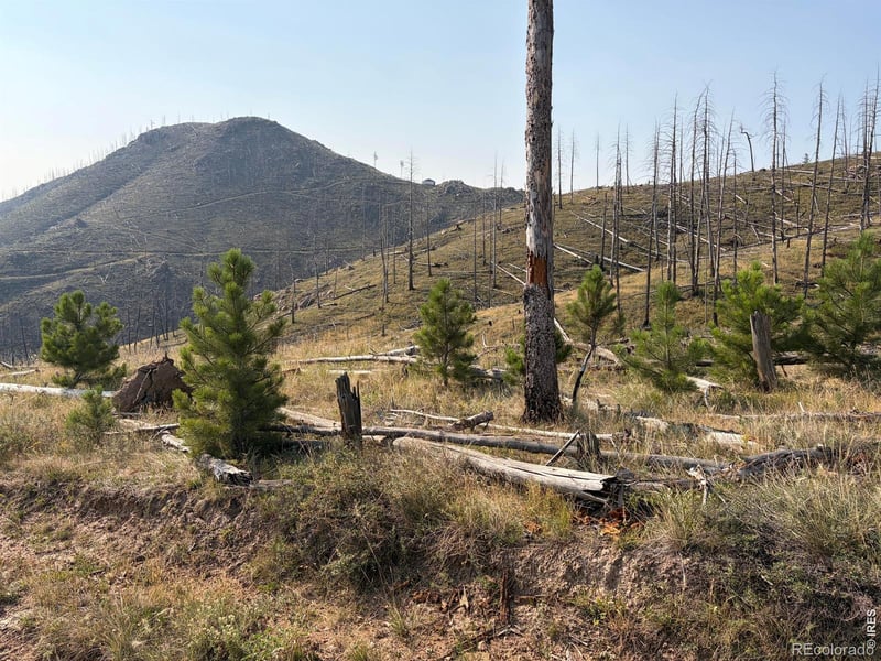 Pine Acres Rd, Bellvue, CO 80512