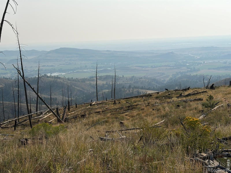 Pine Acres Rd, Bellvue, CO 80512