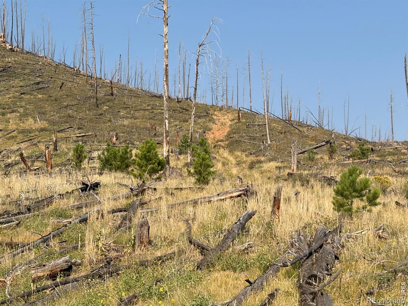 Pine Acres Rd, Bellvue, CO 80512