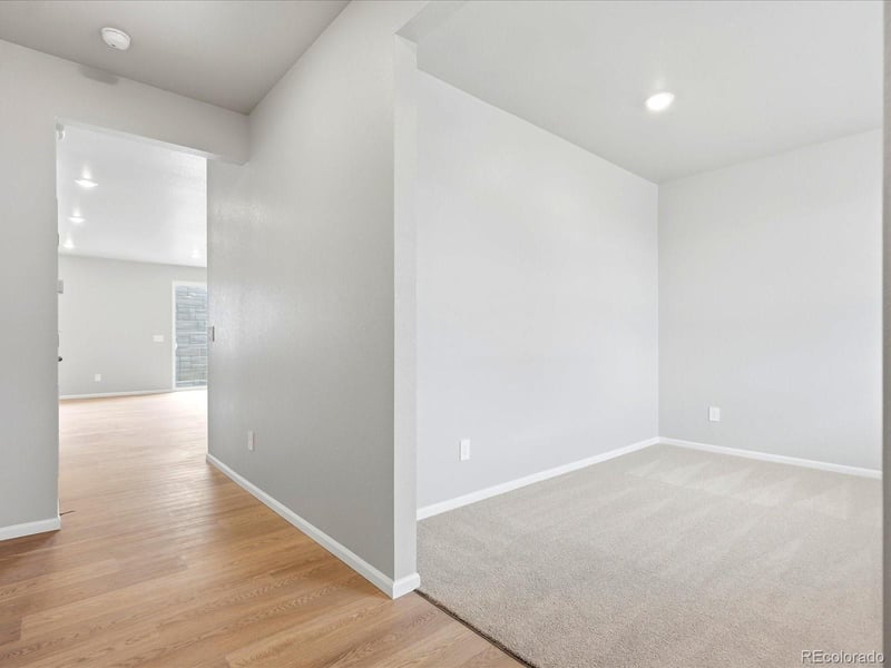 1648 Yampa River Dr, Windsor, CO 80550