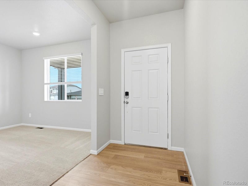 1648 Yampa River Dr, Windsor, CO 80550