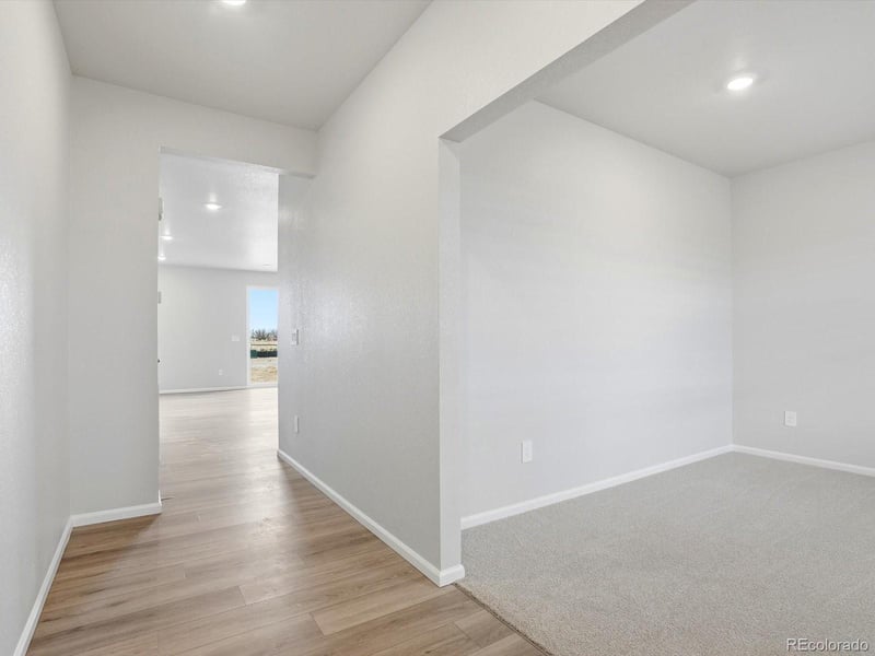 1648 Yampa River Dr, Windsor, CO 80550