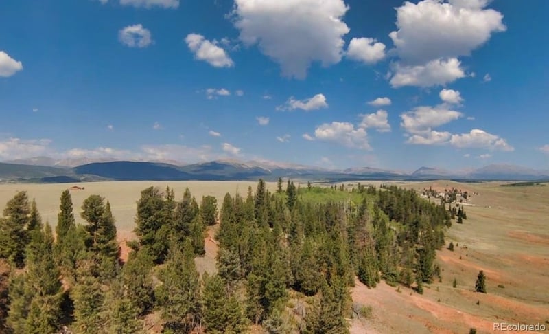 4335 Meier Ridge Trl, Fairplay, CO 80440