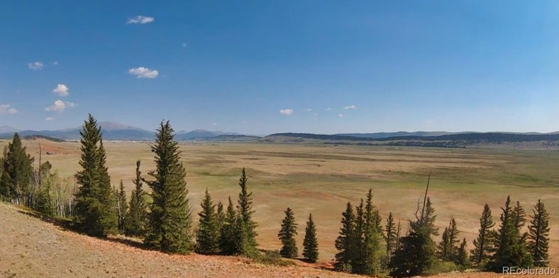 4335 Meier Ridge Trl, Fairplay, CO 80440