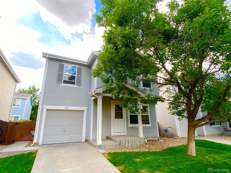4603 Simms Ct, Morrison, CO 80465