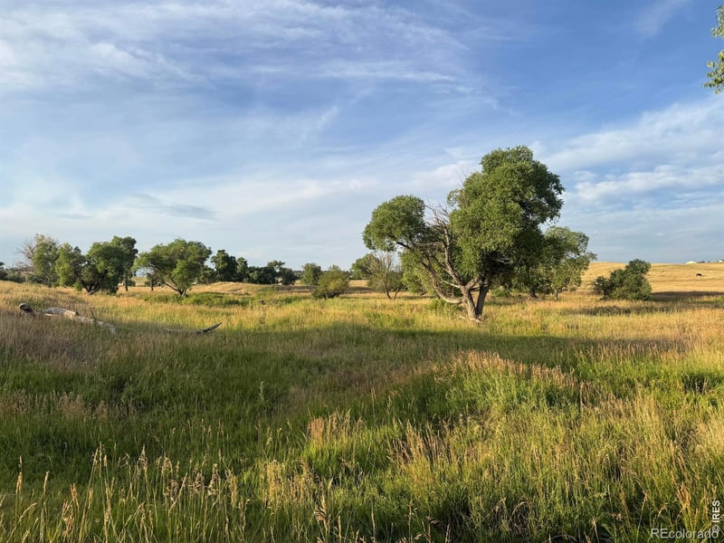 29643 County Road 17/21, Elizabeth, CO 80107