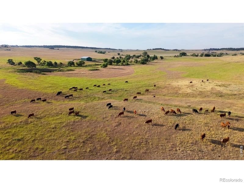 29643 Cr 17/21 , Elizabeth, CO 80107